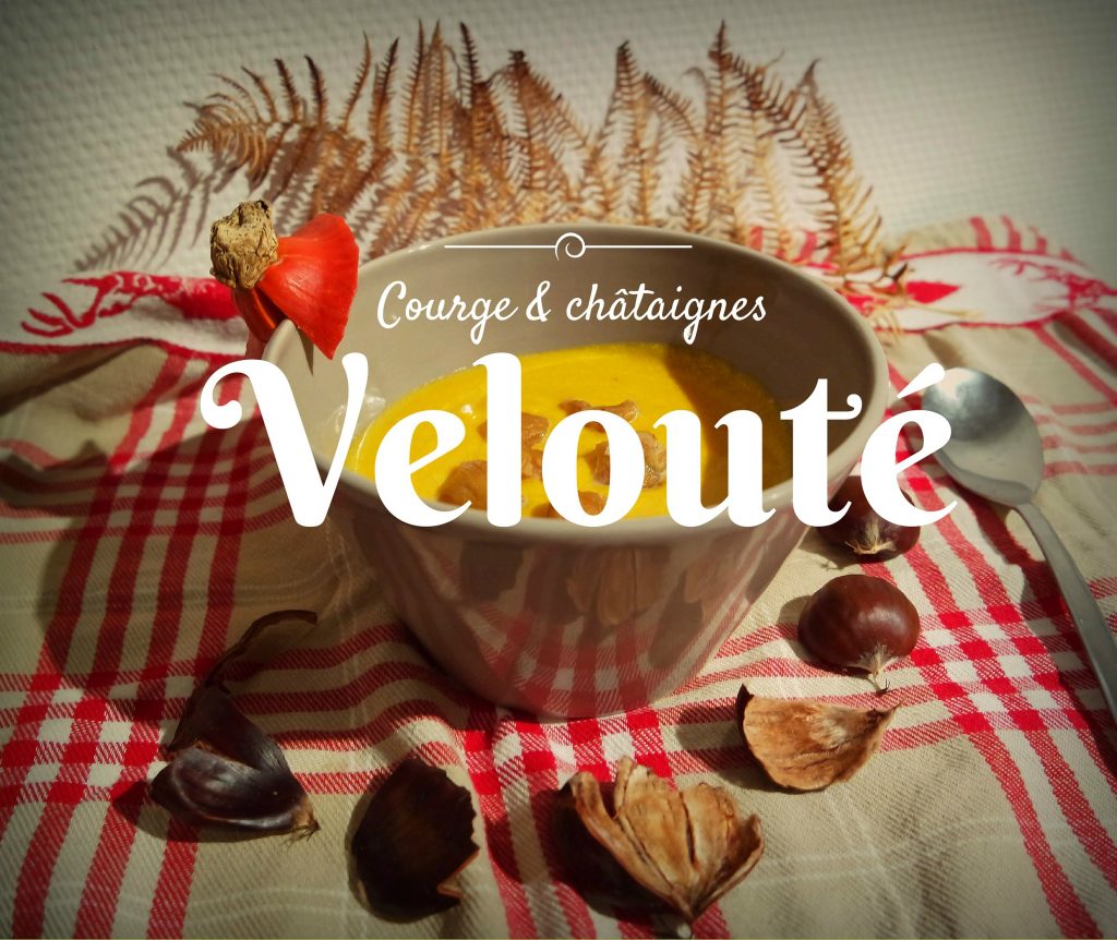 Courge chataignes 1