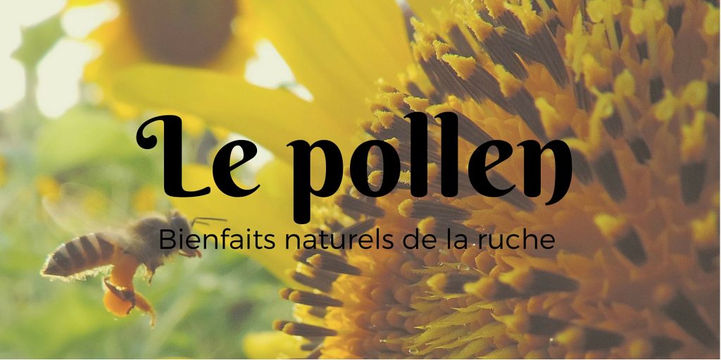 Le pollen