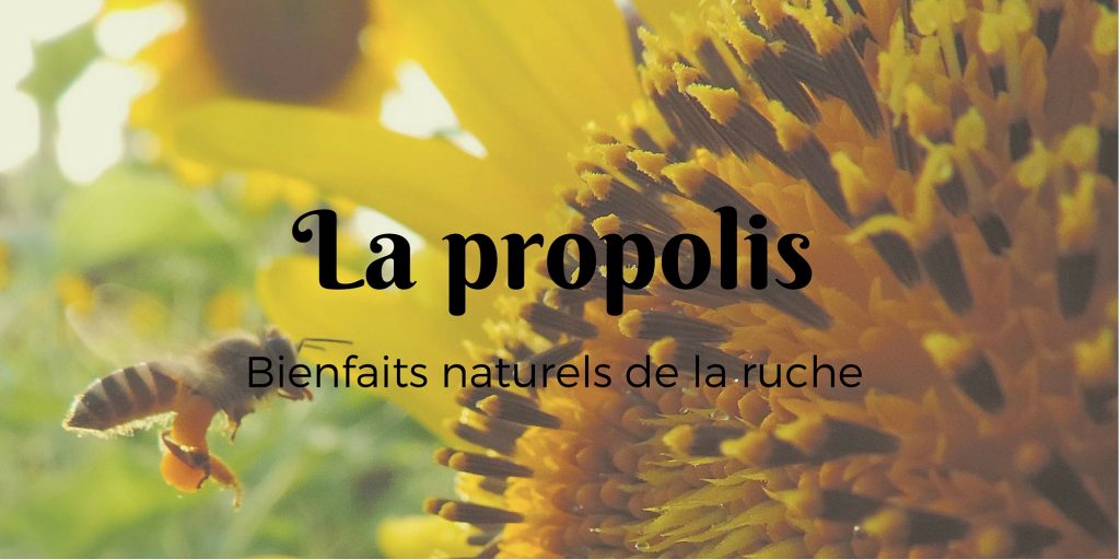 Le pollen (4)