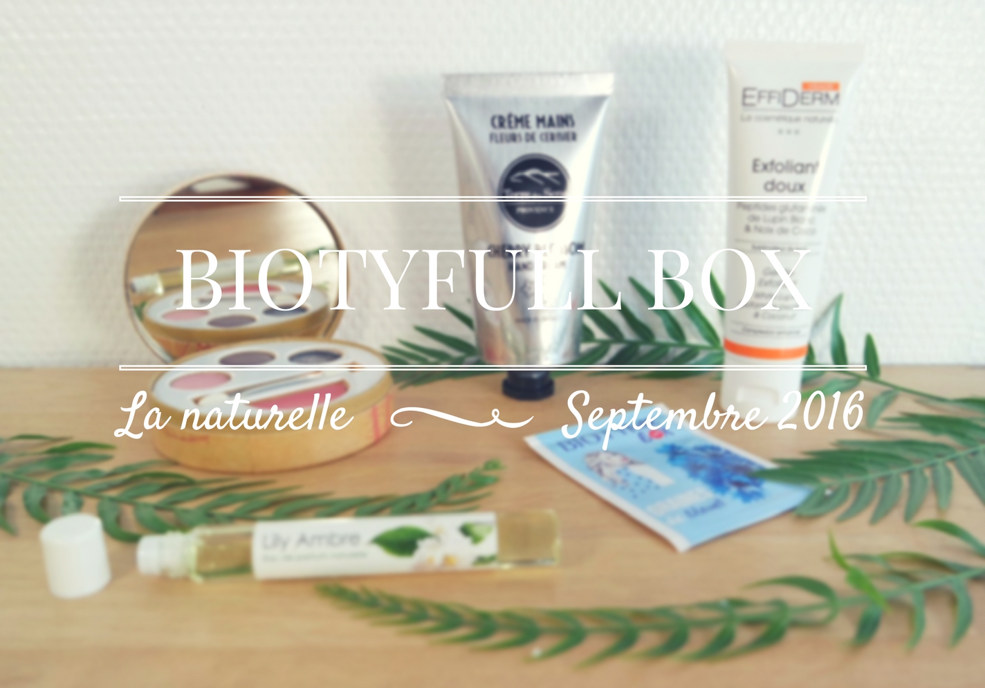 biotyfull-box-3